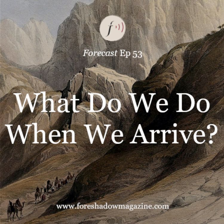 cover art for What Do We Do When We Arrive? (Ep 53)