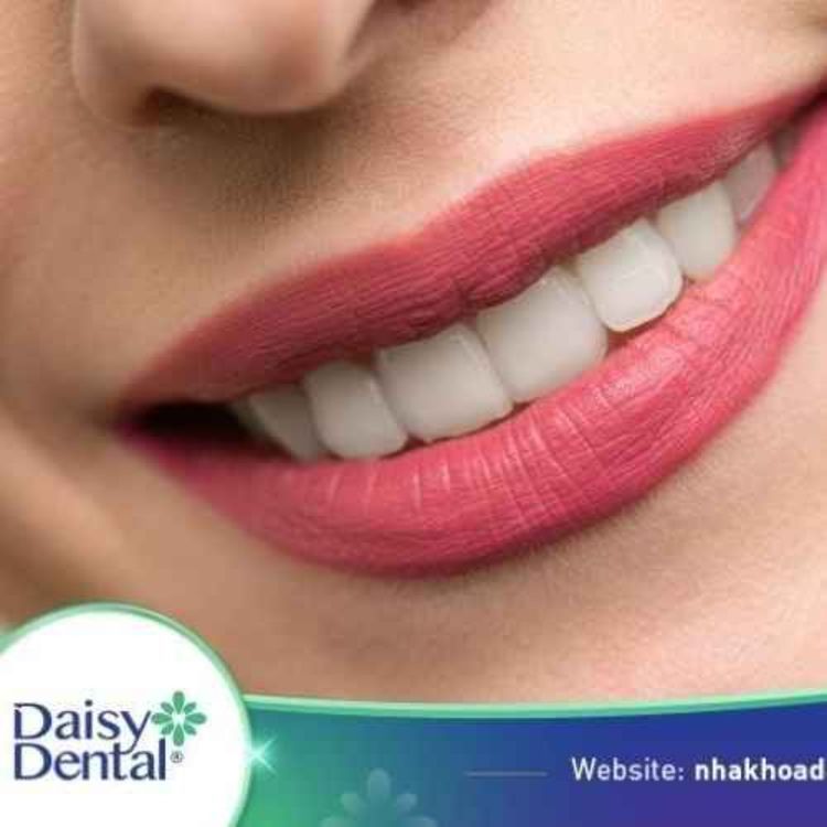 cover art for  Con người có bao nhiêu cái răng? Phân loại răng trẻ em và người lớn