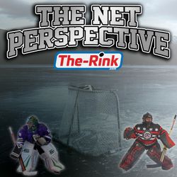 cover art for The Net Perspective