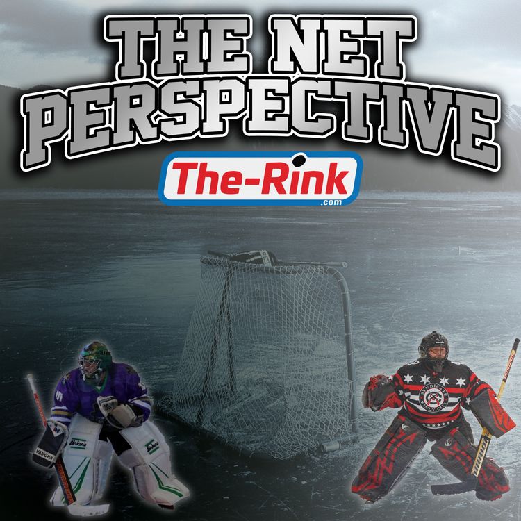 cover art for The Net Perspective - Episode 3