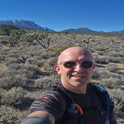 cover art for The Long Haul