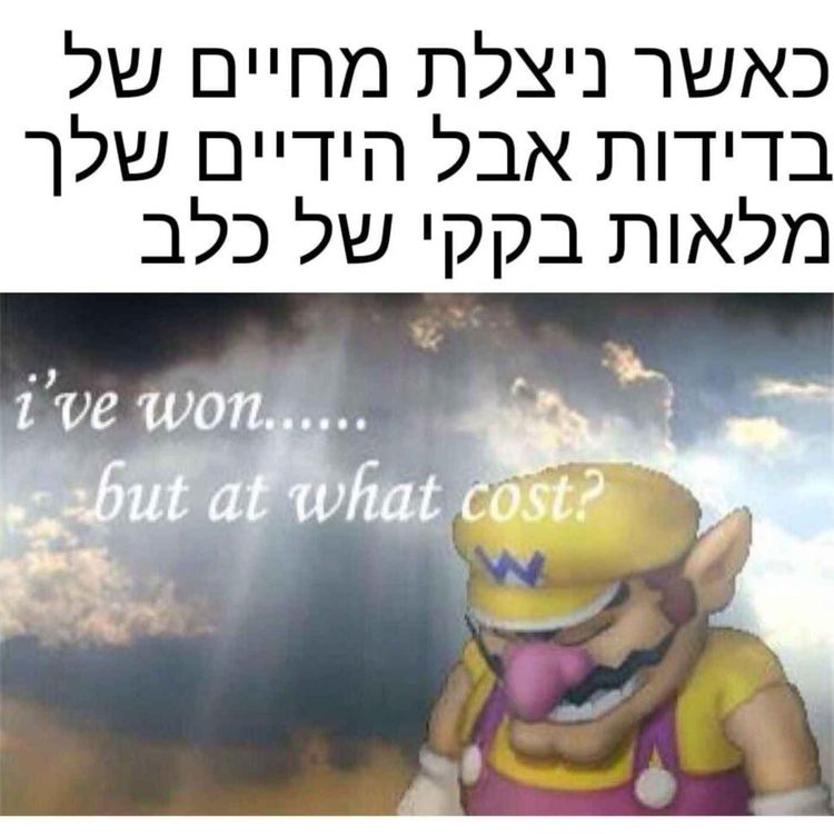 cover art for פרק 2 - ברוכים הבאים למשפחה החתולית שלי