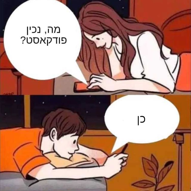 cover art for פרק 1 - כמו סינדרלה של עמידת עכביש
