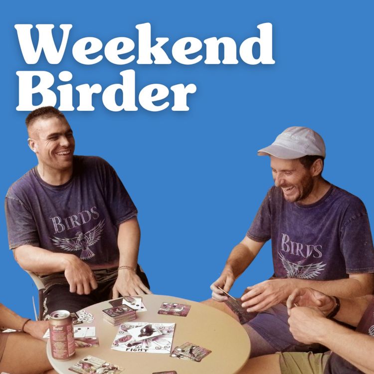 cover art for 93 A Game Called Birds - with Chris and Corey