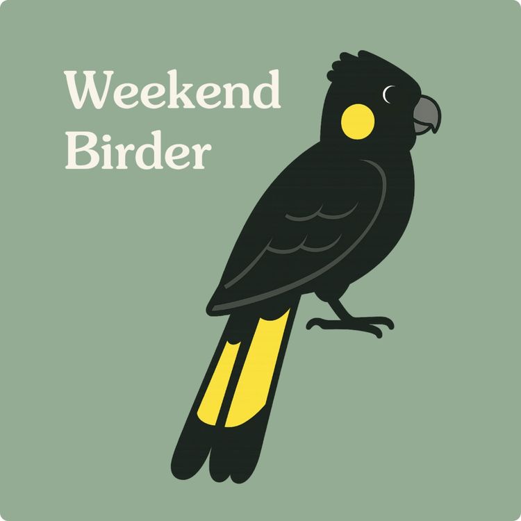 cover art for 118 Season Finale - with the Weekend Birder Community