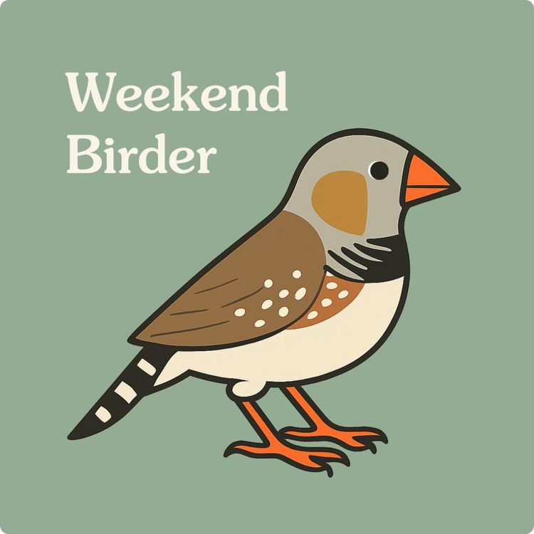 cover art for 116 Broken Hill - with Anika