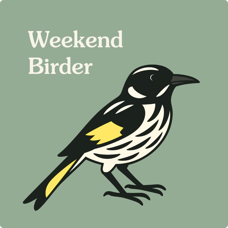 cover art for 113 Birdwatching for All - with Ian and Julie