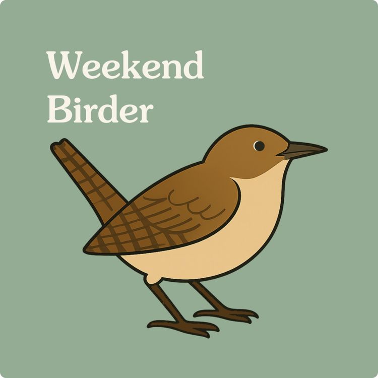 cover art for 110 Slow Birding - with Joan