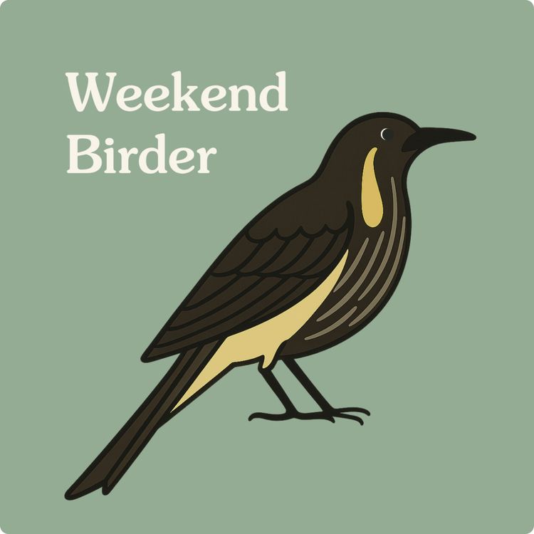 cover art for 109 Tasmania - with Ramit