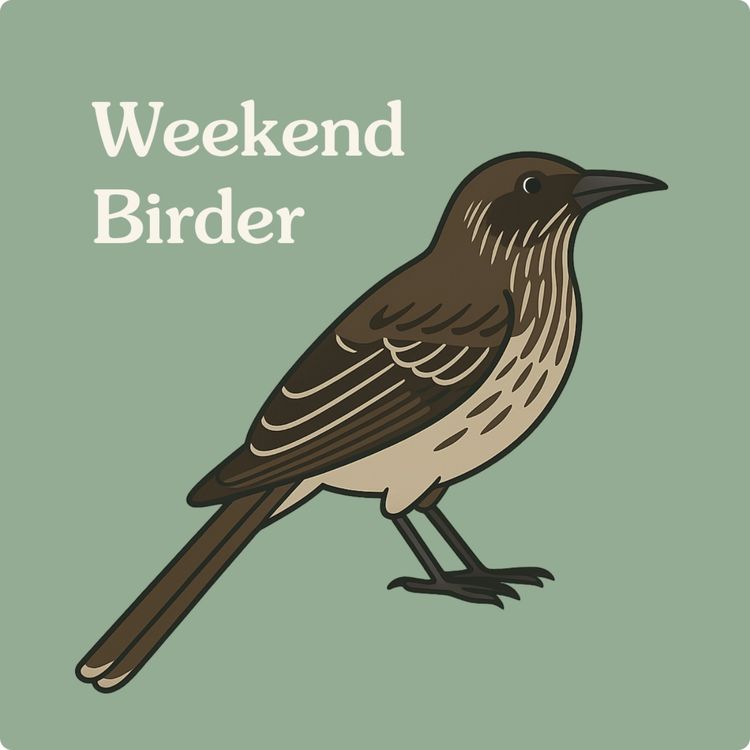 cover art for 108 Birds on Farms - with Shannon