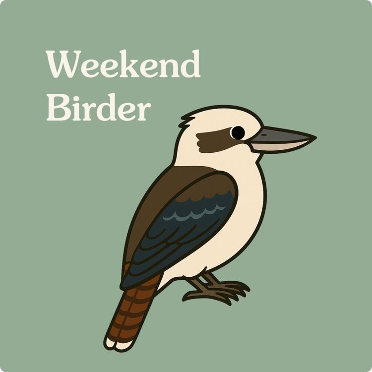 cover art for 107 Did You Spot It - with Jason