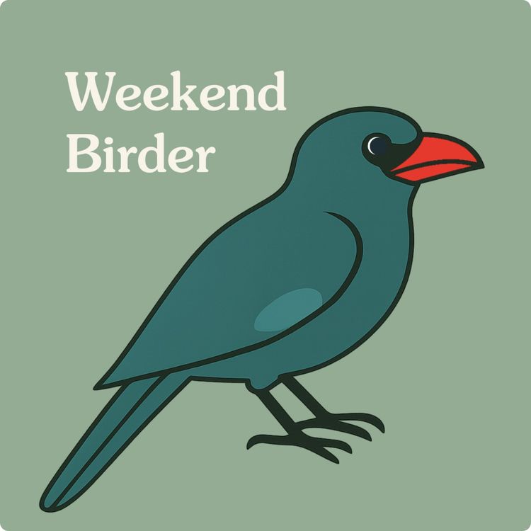 cover art for 97 Local Big Year Celebration - with Hugh, Jo and Sophie