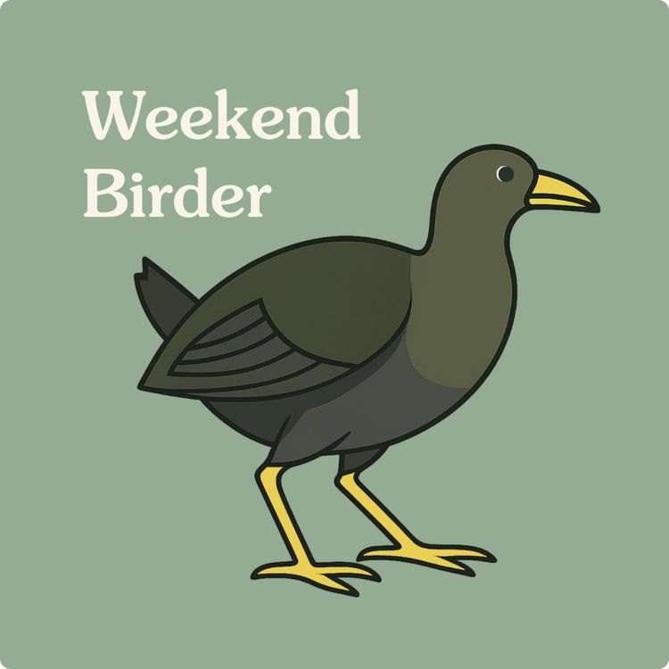 cover art for 93 A Game Called Birds - with Chris and Corey