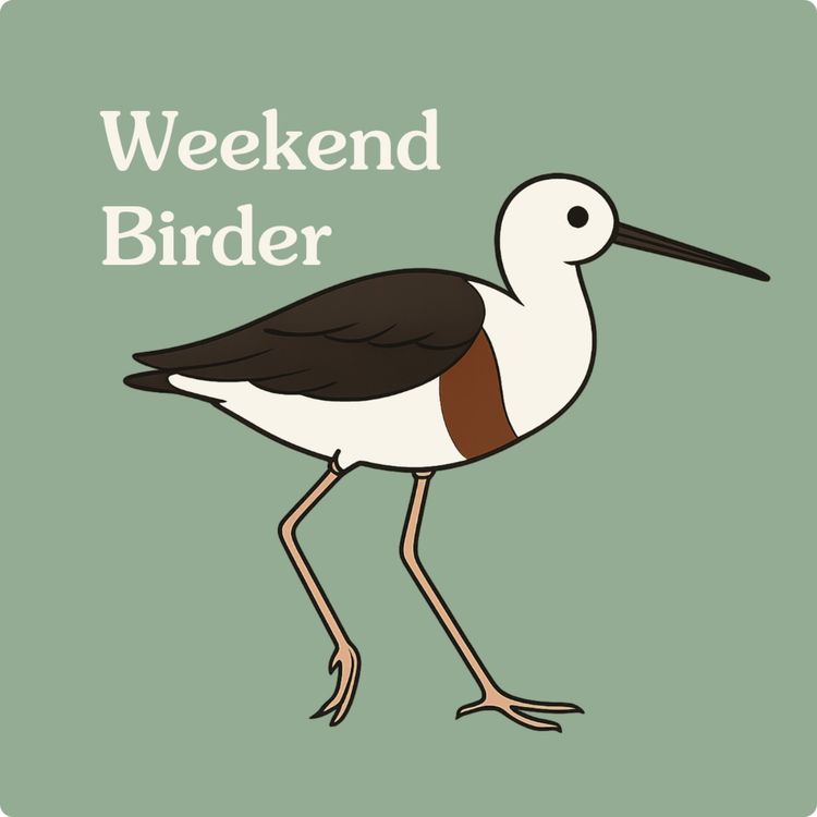 cover art for 72 From Dawn to Dusk - with Shelley