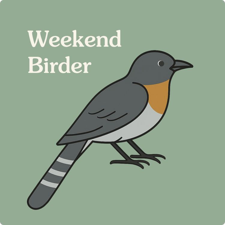 cover art for 68 Strength of Country - with Jack