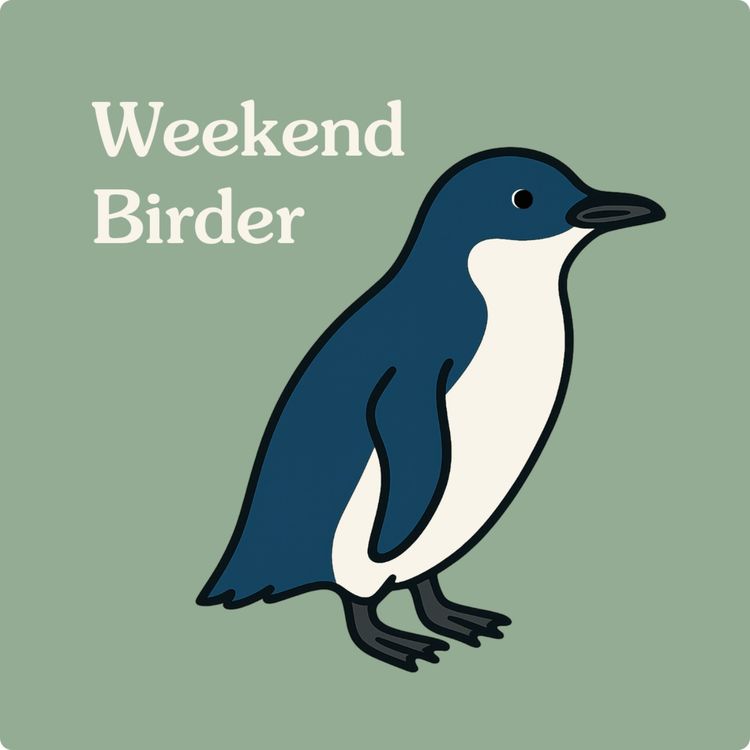 cover art for 56 Little Penguins - with Paula