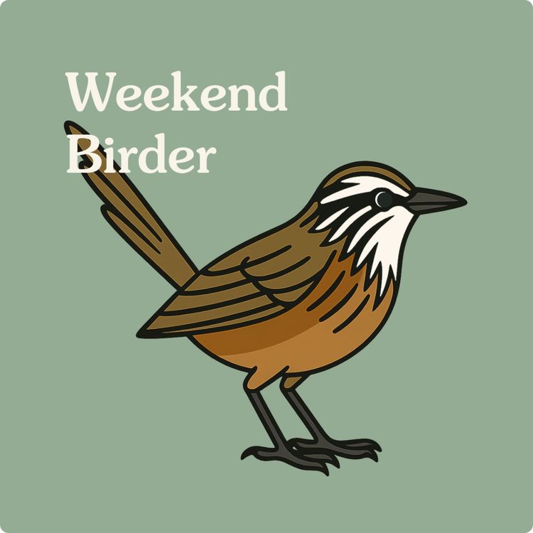 cover art for 36 Accidental Big Year - with Charuka