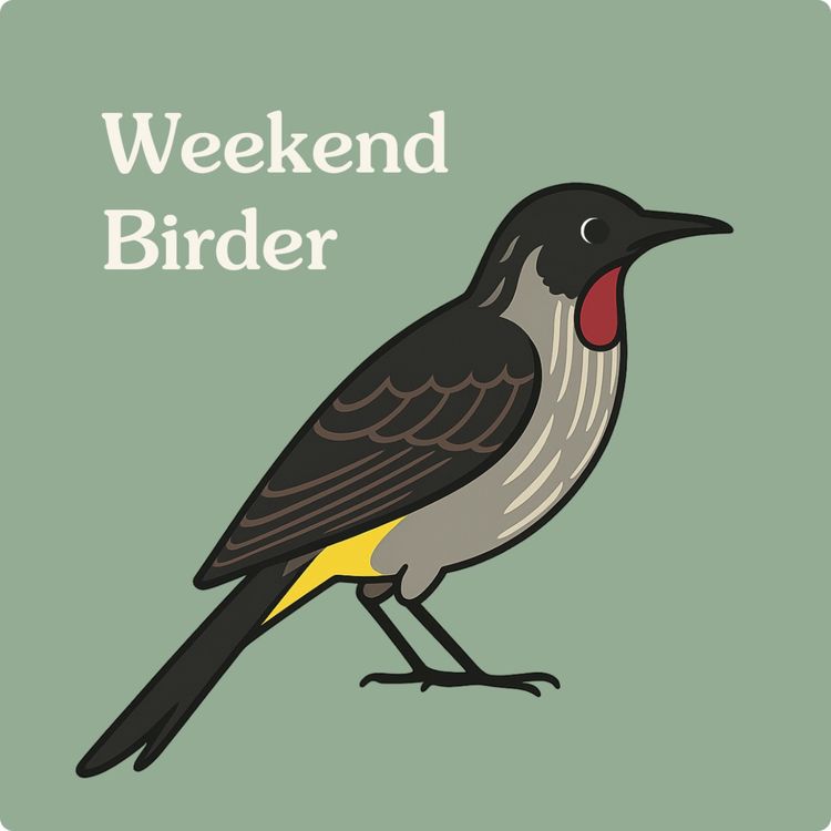 cover art for 35 Bird-Friendly Gardens - with Tom