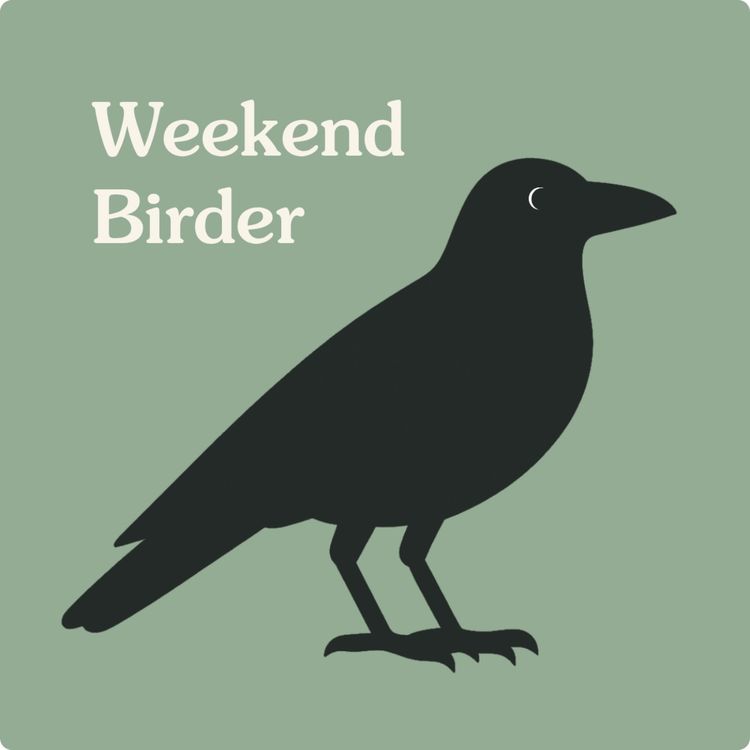 cover art for 31 Ravens and Crows - with Sean