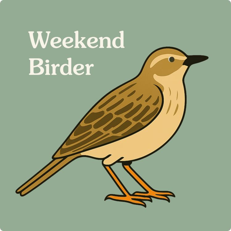 cover art for 30 Merri Merri - with Ann