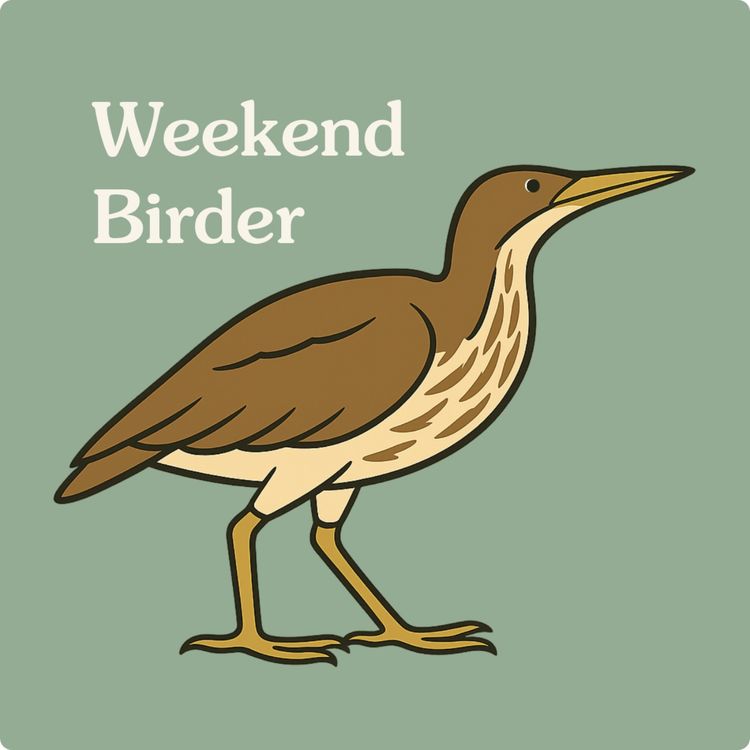 cover art for 29 Sneaky Waterbirds - with Matt