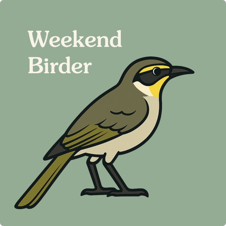 cover art for 14 Honeyeater Migration - with Carol