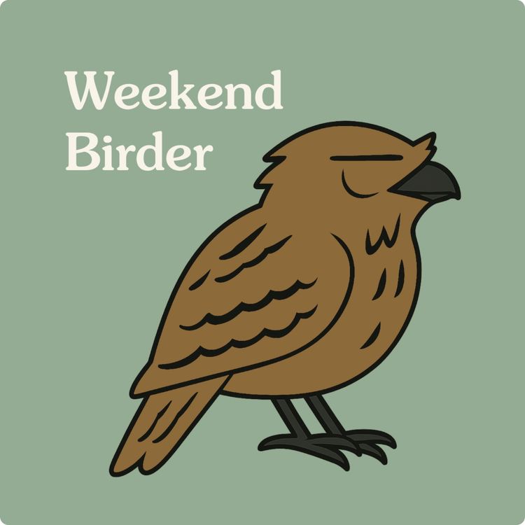 cover art for Encore: Tawny Frogmouths - with Marian