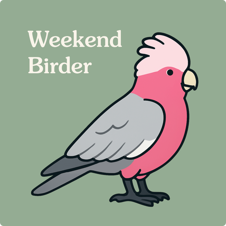 cover art for 121 Bird Bird Bird - with Rove