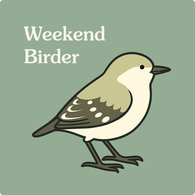 cover art for 122 Pardalotes and Parrots - with Cat