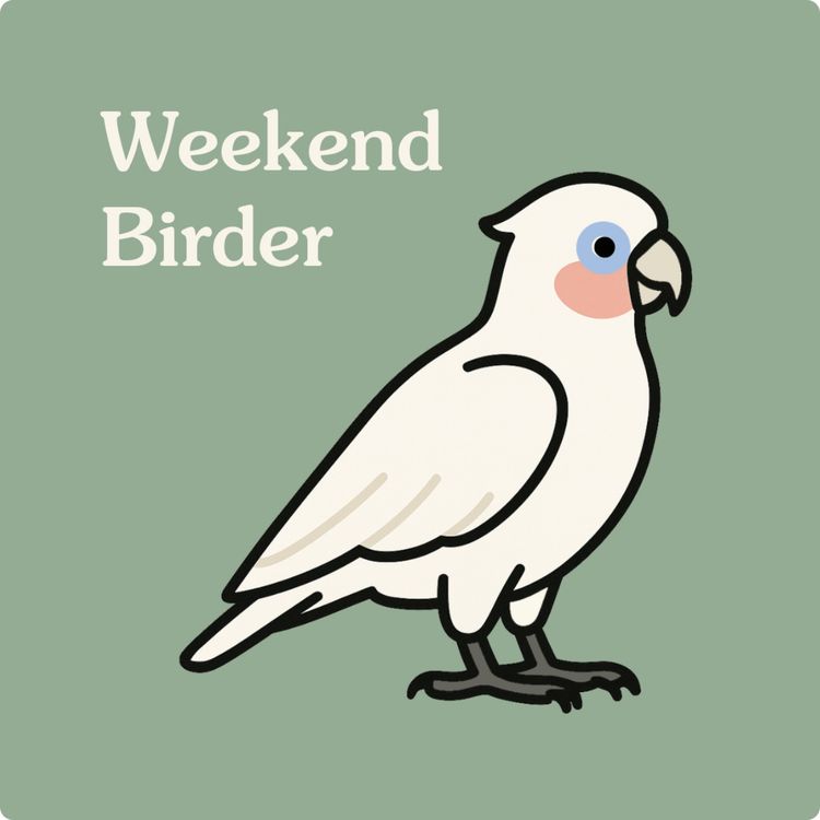 cover art for 124 Parrot Evolution - with Tim