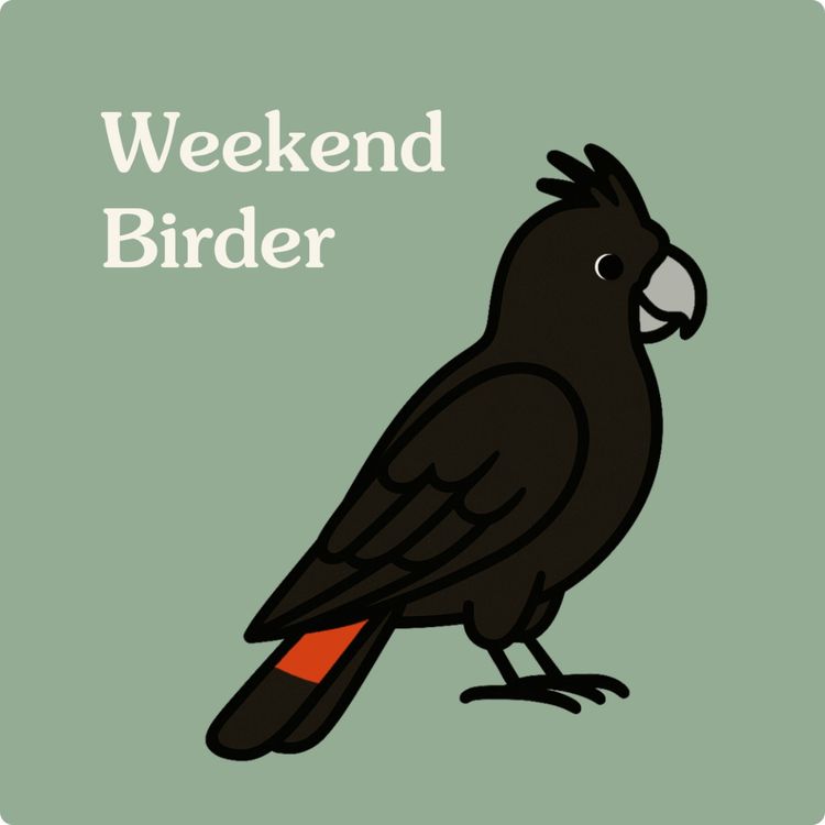 cover art for 125 Observe, Learn and Protect - with Spencer