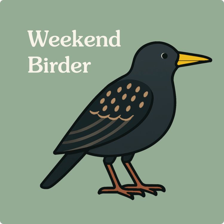 cover art for 128 Nature People - with César