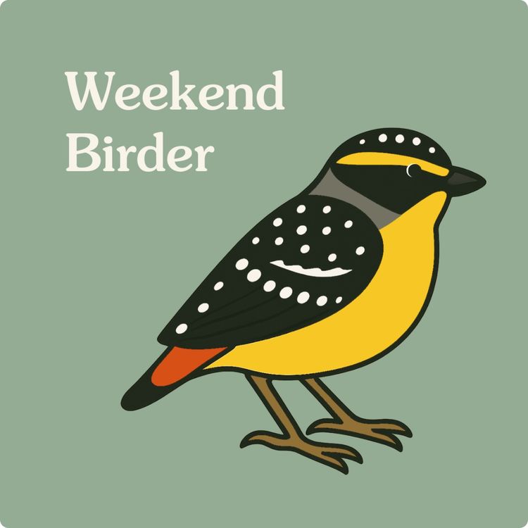 cover art for 130 Birds and Books - with Angela