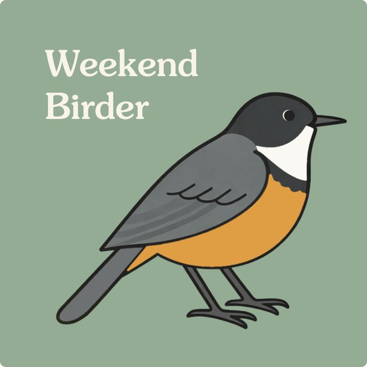 cover art for 131 Falling in Love with Birds - with Shane and Kayte