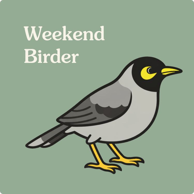 cover art for 133 Why do birds sing? - with Gráinne 