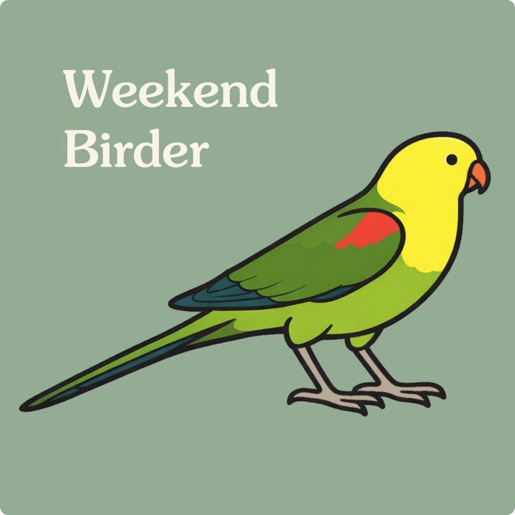 cover art for 134 The 700 Birds Project - with Bridget and Jane