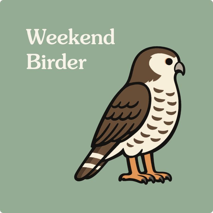 cover art for 139 Making Space for Birds - with Ben