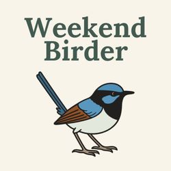 cover art for Weekend Birder