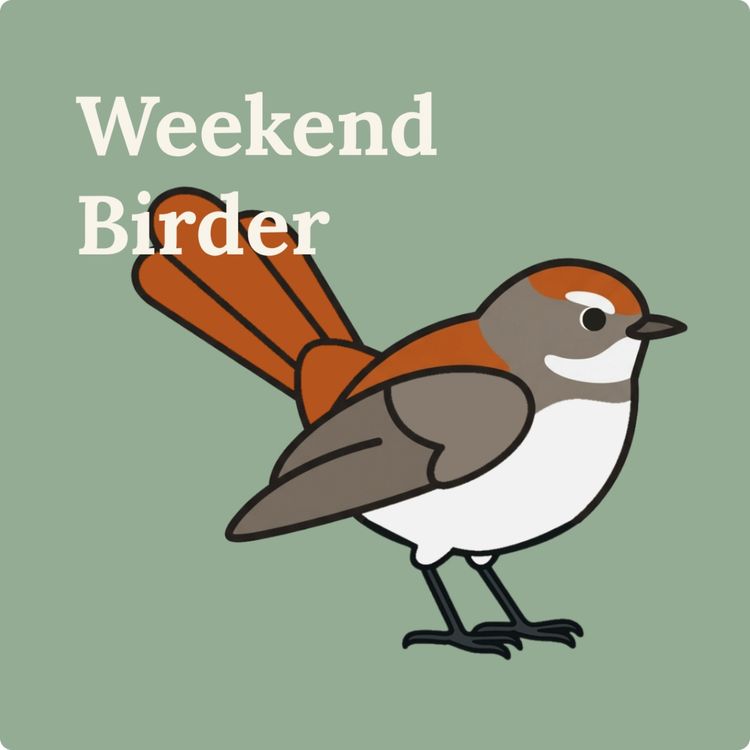 cover art for 142 Next-Gen Hills Naturalists - with Coen