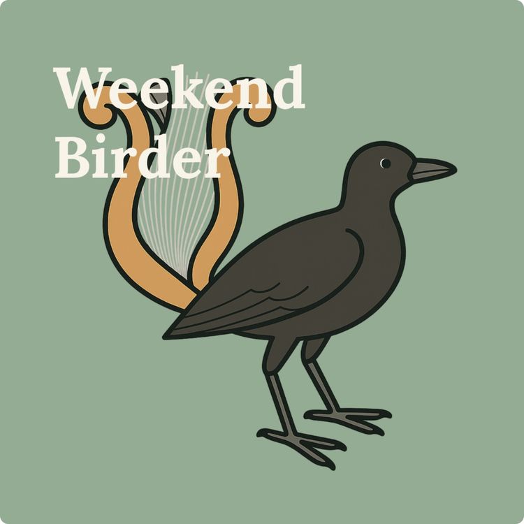 cover art for 143 Filming What We Miss - with Jeremy