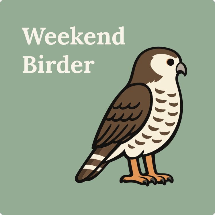 cover art for 139 Making Space for Birds - with Ben