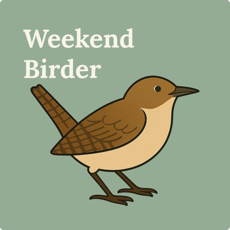 cover art for 110 Slow Birding - with Joan