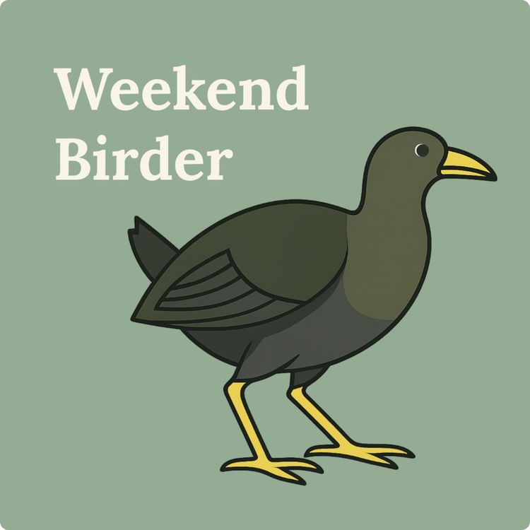 cover art for 93 A Game Called Birds - with Chris and Corey