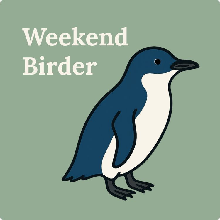 cover art for Encore: Little Penguins - with Paula