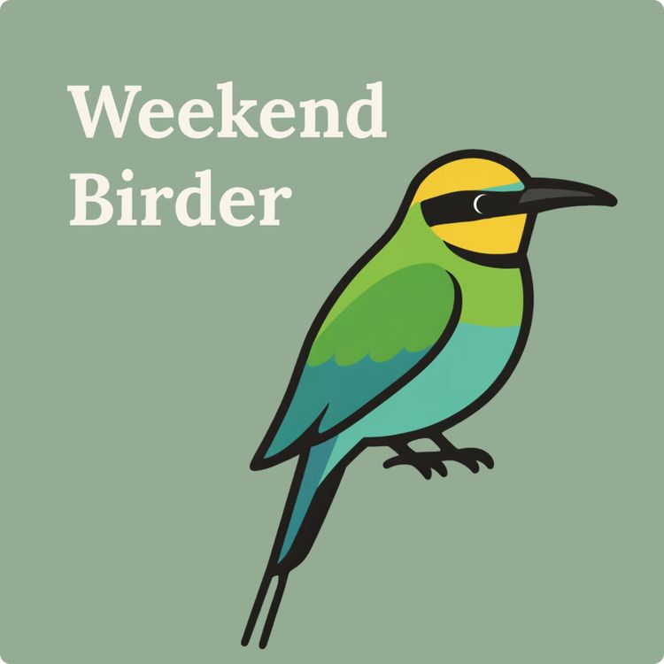 cover art for 144 Becoming a Birdwatcher - with Mia