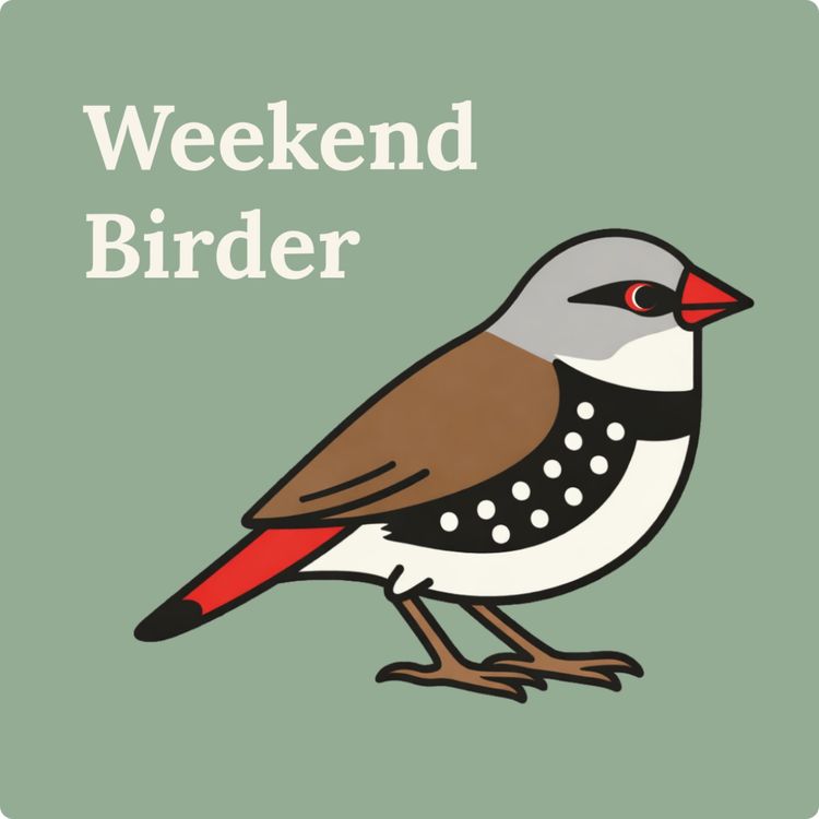 cover art for 145 Woodland Birds - with Emi