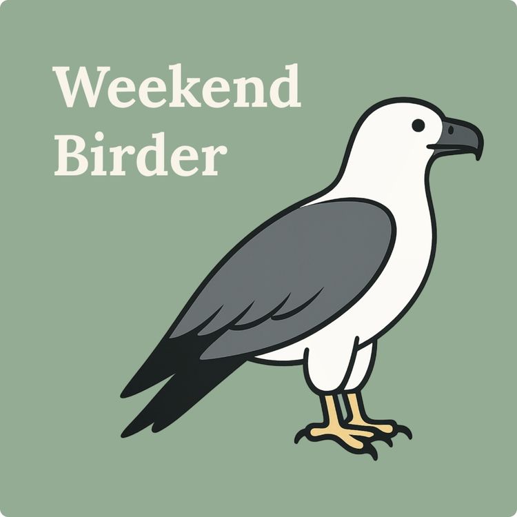 cover art for 146 Birds on Country - with Kai