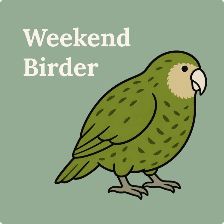 cover art for 147 The Birding Movement - with Natalie