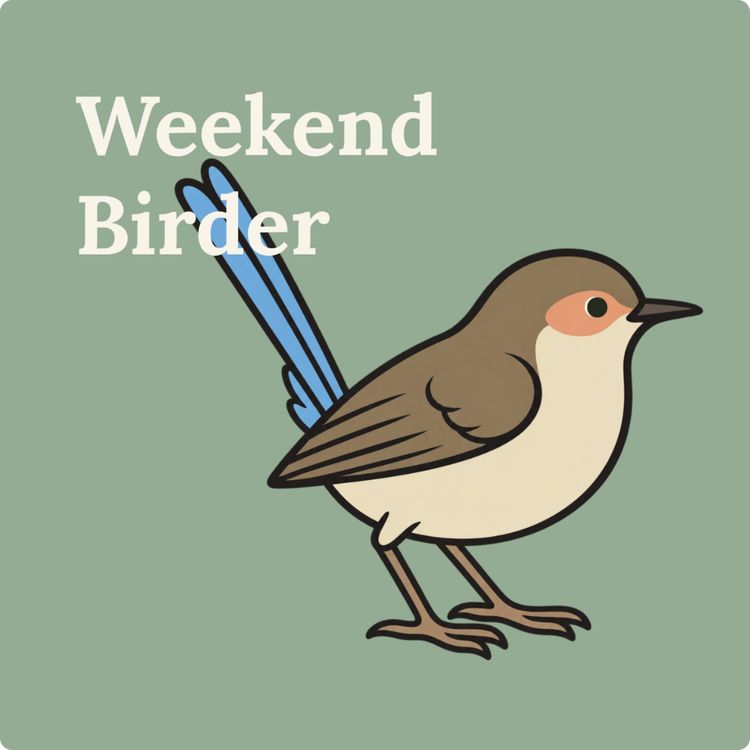 cover art for 153 Birding Your Own Way - with Kirsty