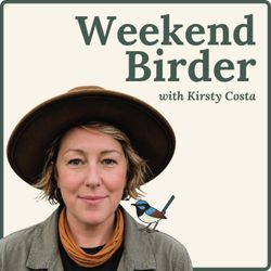 cover art for Weekend Birder